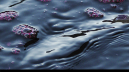 Empreinte Oenologique, matière et mouvement, du 9 décembre 2015 au 16 janvier 2016 du lundi au vendredi de 14h à 18h.Photographies de Sarah Mørch.