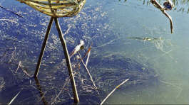 Exposition : C'est au mois de mai, la Cabane trempée : du 10 février 2016 au 16 mars 2016 du lundi au vendredi de 14h à 18h. Photographies d' Alain Arnal à la Galerie du Bar à Photo - Montpellier.