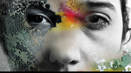 Exposition Estropia, récit d'une folie pigmentaire : Zeineb Henrichi à la Galerie du bar à Photo - Montpellier