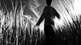 Exposition Par-delà les horizons des photographies de William GuilmainExposition du 29 Mars au 05 Mai 2017 A la galerie du Bar à Photo