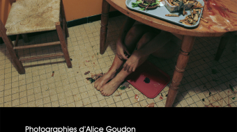 Marionettes : Alice Goudon