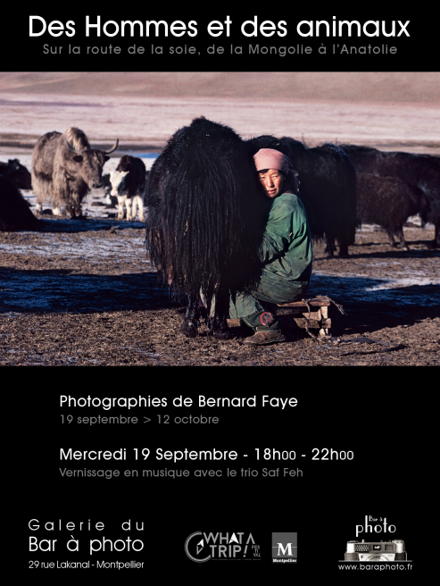 Des Hommes et des animaux : Bernard Faye