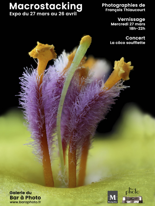 Exposition François Thiaucourt à la Galerie du Bar à Photo de Montpellier