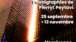 affiche-basse-def-pour-wordpress