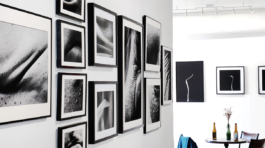 Retrospective Ananda Regi